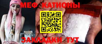 прущие грибы Нальчик
