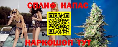 прущие грибы Нальчик