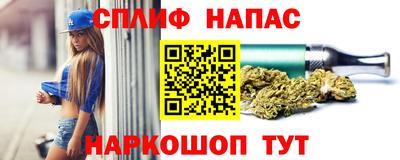 прущие грибы Нальчик