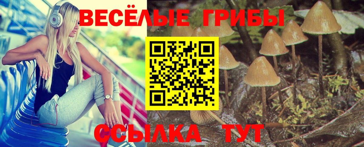 Псилоцибиновые грибы ЛСД Усинск
